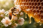 मधुमक्खी का शहद: सिर्फ मिठास नहीं, पूरा विज्ञान