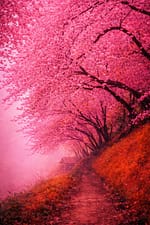 ЁЯФердмрджрддрдореАрдЬрд╝ рдЖрджрдореА рд╕реЗ рдмрд╣рд╕ рдордд рдХрд░рдирд╛