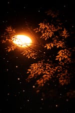 🪞 हज़ारों मिलेंगे झूठी तारीफ़ करने वाले 💥 कम ही मिलेंगे आईना दिखाने वाले