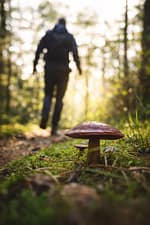 💔 कुछ रिश्ते उम्र भर नहीं, यादों के लिए आते हैं 💫